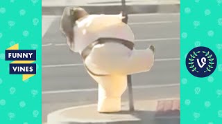 SUMO POLE DANCER?! | INFLUENCERS IN THE WILD (PT.17)