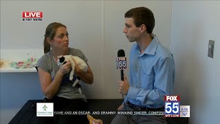 An interview alongside kittens at Humane Fort Wayne's first day in new facility