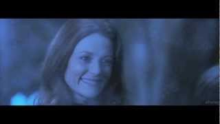 the potters ● dead hearts