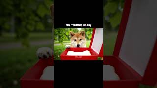 POV You made his day #dog #shibainu #funny #gift #hug