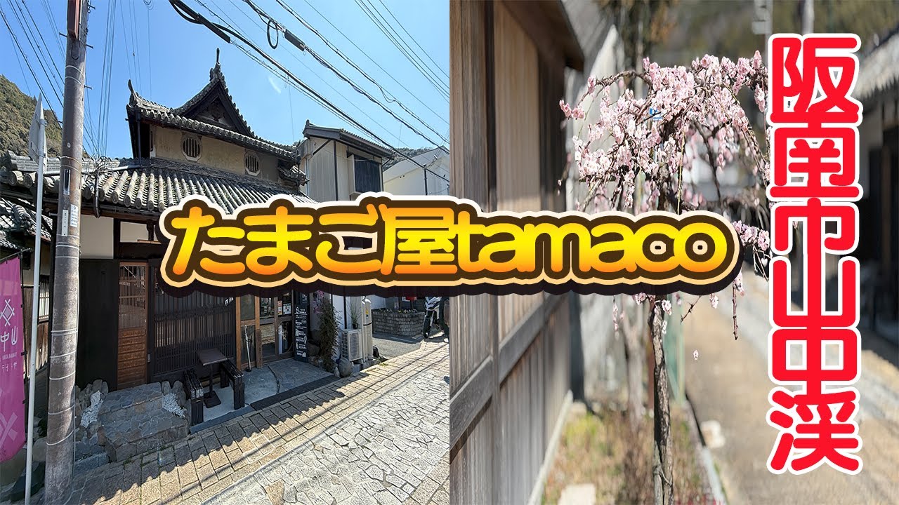 【南大阪グルメ】阪南市山中渓の【たまご屋tamaco】さんへ行ってきました