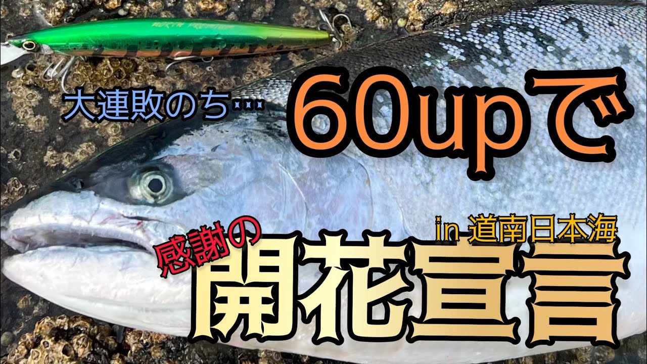 大連敗のち…60upで感謝の開花宣言in道南日本海