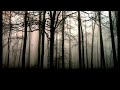 Trees stays calm (Atmospheric Black Metal)