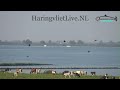 Haringvlietlivenl compilatie nr 10