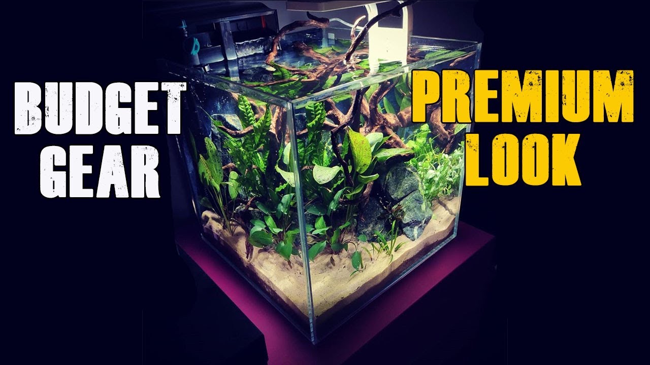 Budget Aquarium Aquascape Premium look! YouTube