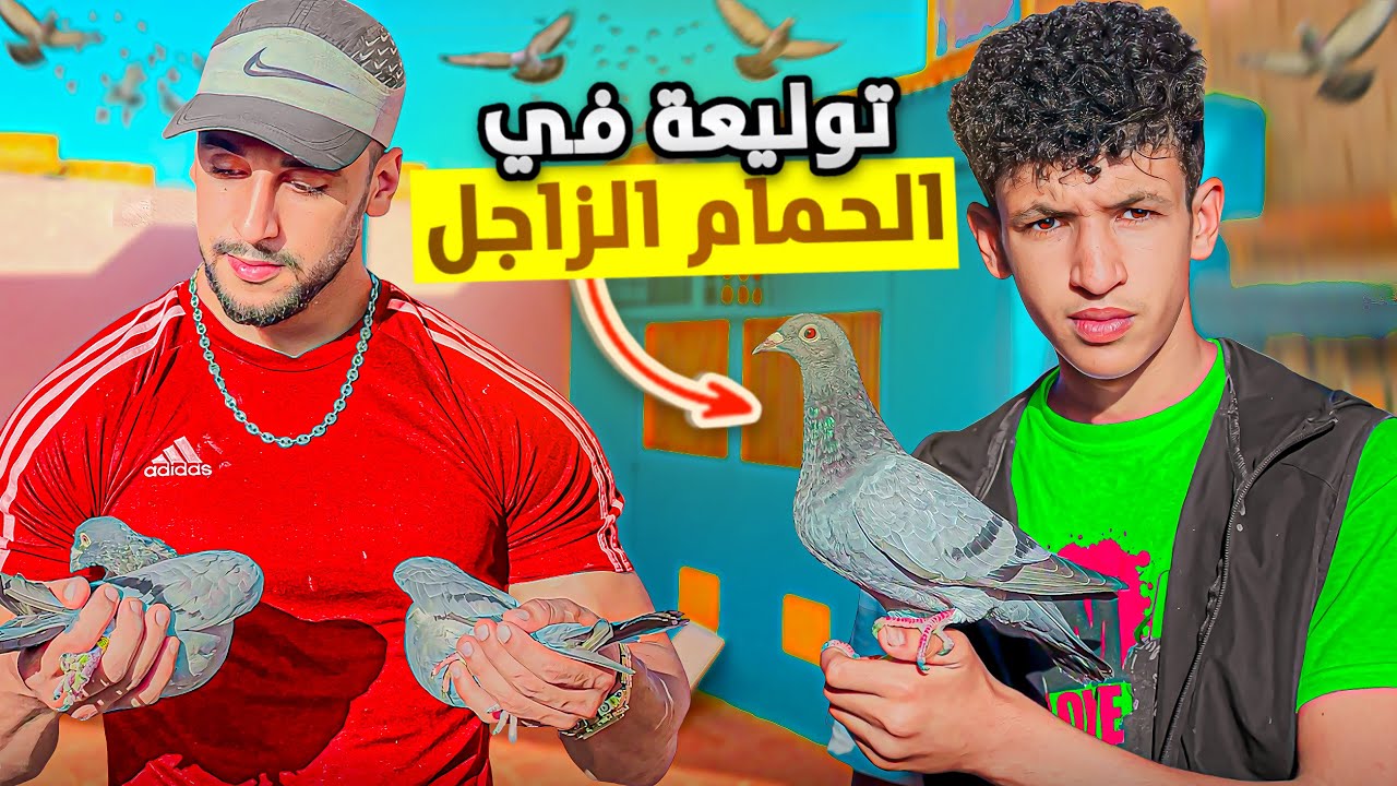 توليعة عند أحسن مربي الحمام🕊️الزاجل 🤯خديت أحسن حمامة في السجنة😨