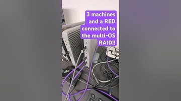 Experience Multi-OS RAID storage access with Pro Data #datastorage