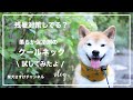 《残暑対策》柔らか保冷剤の「クールネック」試してみたよ
