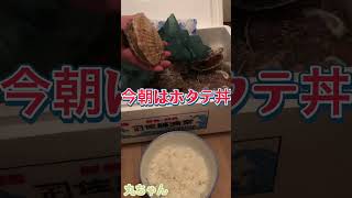 丸ちゃん　玄関でホタテ丼『玄関でやるなら二年ものだわ』【2023年北海道シリーズ】寿都産ホタテ3年もの　#食べるぜニッポン