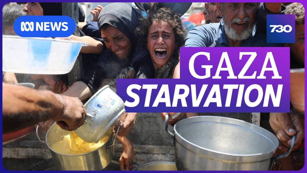 The reality for one Gaza family struggling to find food and water | 7.30