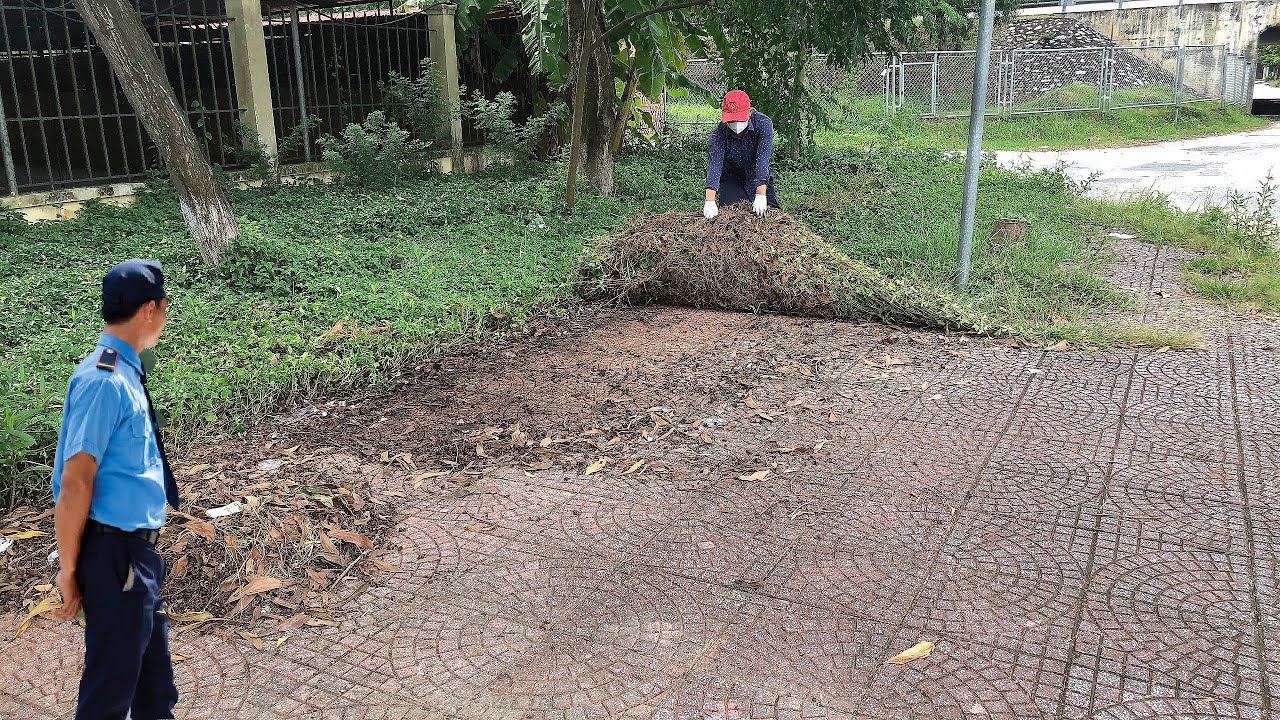 Тротуар школы зарос сорняками. Я вызвался его почистить примитивными инструментами.