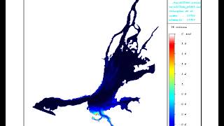 Numerical simulation of fluid flow (diffusion-convection)