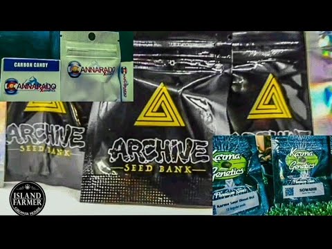 Cannarado Genetics bekannte Sorten Übersicht