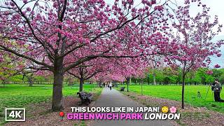 This Might Be London’s Most Beautiful View Right Now 🌸🏙️ | Greenwich Park Walk (4K HDR)