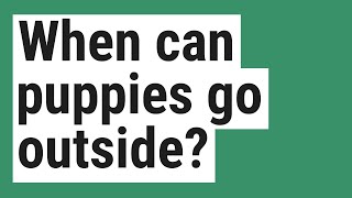 When can puppies go outside?