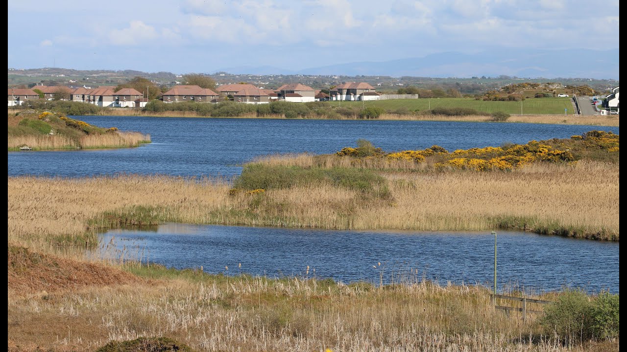 Wild Wales Episode 2 - Valley Wetlands