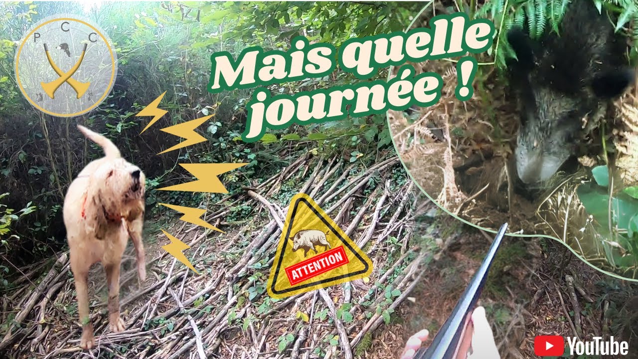 Chasse aux sangliers : "Mais quelle journée !"