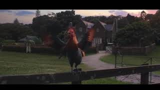 Rooster From Peter Rabbit \