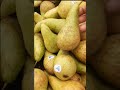 Holland Conference Pear🍐 #shorts#conferencepear#shortsvideo#viral#fruits#yummy#youtubeshorts