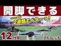開脚できるようになるストレッチ！180度も余裕！超柔らかいプロのチアリーダー「東北ゴールデンエンジェルス」と一緒にやってみた