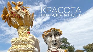 видео: Искусство на один день. Зачем нидерландцы каждый год создают арт-объекты из цветов, фруктов и овощей картинка: Искусство на один день. Зачем нидерландцы каждый год создают арт-объекты из цветов, фруктов и овощей