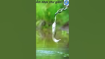 nganbangRIVEWnhạc-tiểuphẩm; Cuộc sống muôn màu kỳ diệu