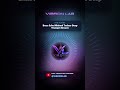 Brass Echo Minimal Techno Deep Trumpet Groove · Vibron Lab #Shorts