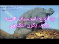 03 أنواع للمجسمات المهمة و ما هو المجسم التكنيزي شاهد معلومات لأول مرة على اليوتيوب