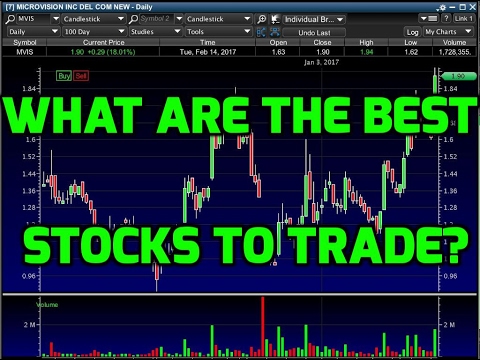 What trading platform does timothy saykes use