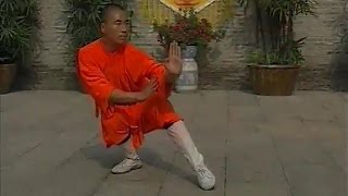 Shaolin big Eastward Kung Fu (guandong quan)