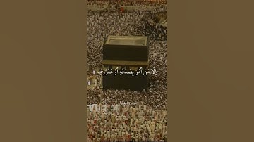 لا خير في كثير من نجواهم إلا من أمر بصدقة أو معروف أو إصلاح بين الناس - سورة النساء - علي جابر