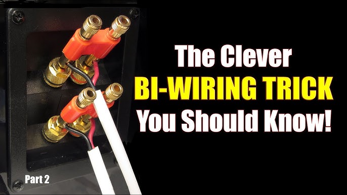 Bi-wiring and Bi-amping: Is it worth it? Part 1
