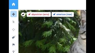 Multiple tags mode for a single image in Supervisely