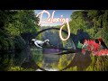 2 HOURS Bird 🦜Singing and Relaxing Music, Music For Deep Sleep, Stress Relief Music, Relaxing