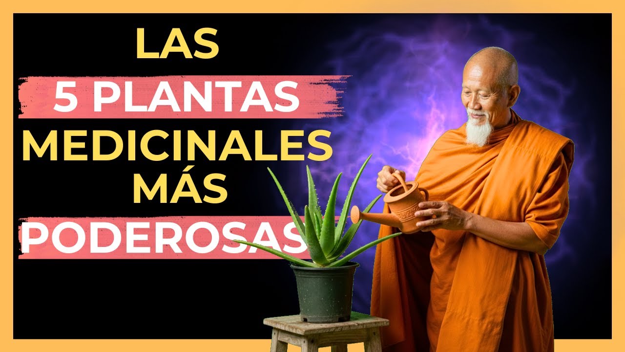 5 Plantas MEDICINALES SECRETAS de los Maestros Budistas
