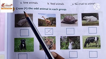 Grade 1/ EVS/ L 12 The World of Animals /19 Nov
