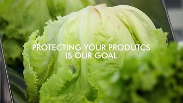 GNA - Horizontal flowpack machine Mod. AV550