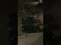 Его реакция бесценна 🤣 #рекомендации #short #shorts #animals #барсик #котики