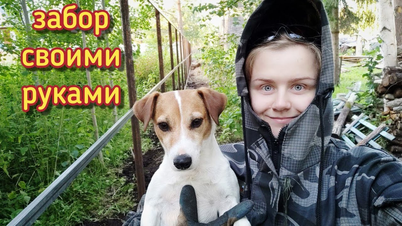 Делаем забор/своими руками/вокруг участка/жизнь в лесу/наступили холода ...