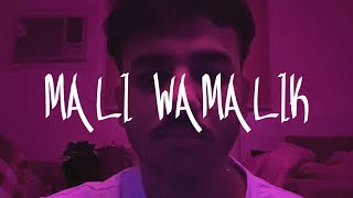 Av - mali wamalik | مالي و مالك (Official Music)