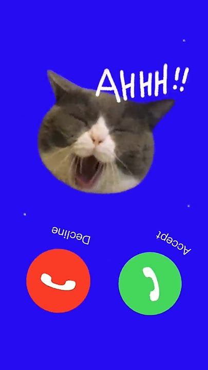 Iphone 12 Pro Max #ringtone #iphone #youtubeshorts #iphone12 #ytshorts #shorts #ringtones