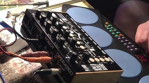 Bastl Thyme Sequence Sir