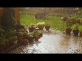 a quiet playlist for a rainy day 🌧️（soft piano for reading, studying & relaxing）