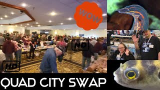 Shopping and Hanging out at the Quad City Fish Swap!