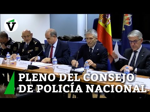 Marlaska afirma ante Policía Nacional que no transferirá Extranjería a Cataluña