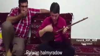 Palwan halmyradow-halk aydym dutar