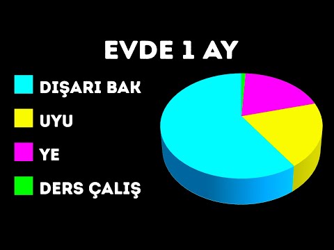 Video: Bir hizmet köpeğinin hayatında bir gün nasıl görünüyor