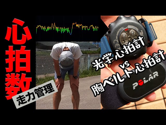 ハートレートでランニングをマネジメント！心拍数をチェック！ポラール