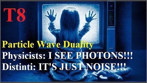 T8: Particle Wave Stupidity: Physicists are incompetent