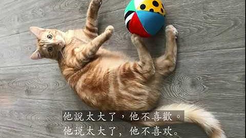 [Eng Sub] Practical Audio-Visual Chinese 1 Lesson 6 summary - cameras & schools [beginner]